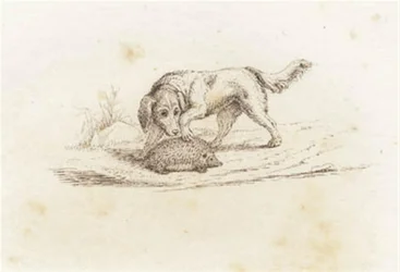 Illustration pour "Cinquante fables pour enfants" de Hey
