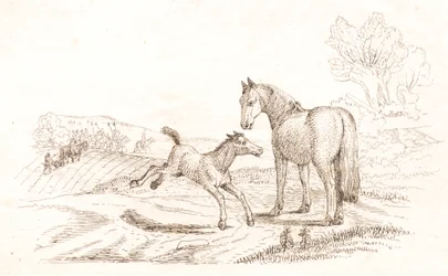 Illustration pour "Cinquante fables pour enfants" de Hey
