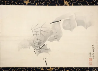 Hérons blancs