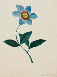 Fleur étoilée