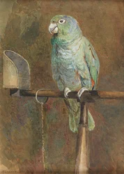 Polly le perroquet