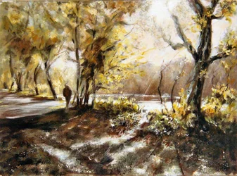 Marcher le long du lac Rudyard