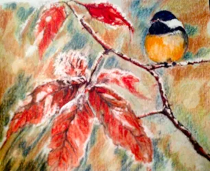 petit oiseau en hiver