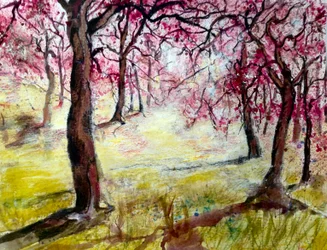 fleurs magenta