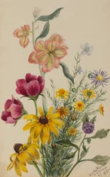 Groupe de fleurs