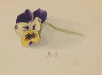 Sans titre Pensée, 1872