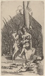 Famille de satyre