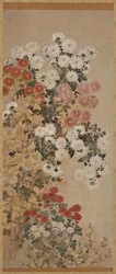 Chrysanthèmes