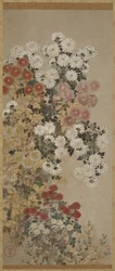 Chrysanthèmes, rouleau suspendu, 1600-30