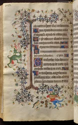 Heures de Charles le Noble, roi de Navarre (1361-1425) : fol. 205v, Texte