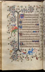 Heures de Charles le Noble, roi de Navarre (1361-1425) : fol. 76v, Texte