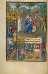 La visite