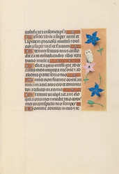 Heures de la reine Isabelle la Catholique, reine d