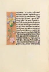 Heures de la reine Isabelle la Catholique, reine d