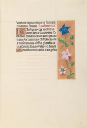 Heures de la reine Isabelle la Catholique, reine d