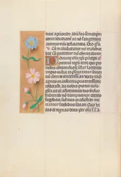 Heures de la reine Isabelle la Catholique, reine d