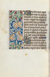 Livre d