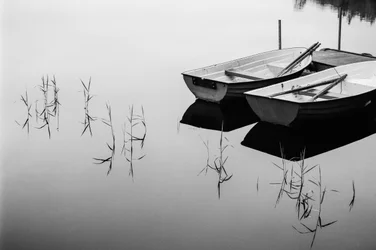 Reflets sereins sur le lac
