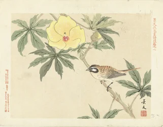 Oiseau sur branche avec fleur jaune