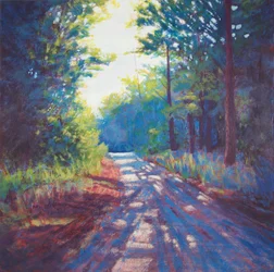Une route de campagne baignée de soleil