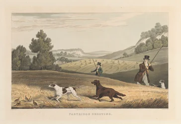 Tir aux perdrix