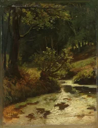 Ruisseau dans les bois près d
