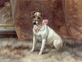 Le Nœud Rose, 1898