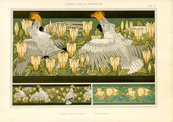 Frises décoratives avec cacatoès, magnolias et souris