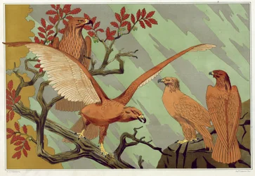 Aigles, de 
