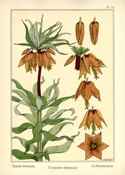 La Couronne impériale