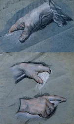 Étude des mains d