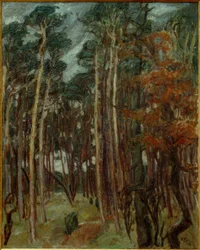 Forêt de Hermsdorf par jour gris