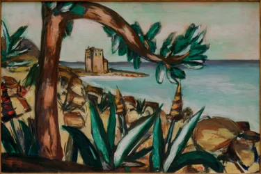 Paysage marin avec vieux château et agaves