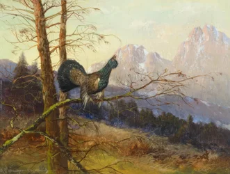 grand tétras