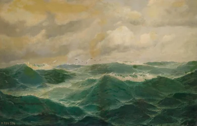 Mouettes au-dessus de la mer agitée