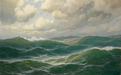 Mouettes sur les vagues