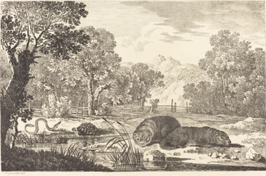 Paysage fluvial avec deux castors