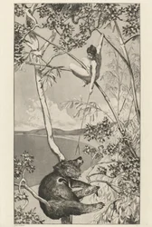 Ours et elfe (pl.1)