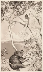Ours et fée