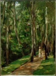 Chemin de bouleaux à Wannsee vers l