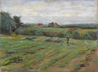 Champ de récolte