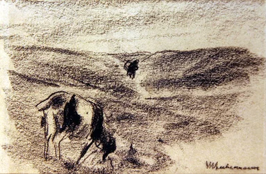 Chèvre broutant