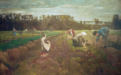 Récolte de pommes de terre à Barbizon