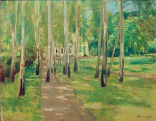 Jardin de Wannsee avec allée de bouleaux