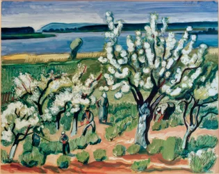 Fleurs d