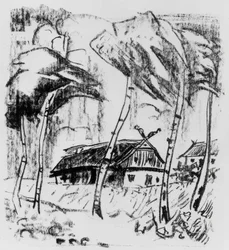 Ferme derrière des bouleaux