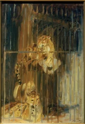 Deux léopards en cage