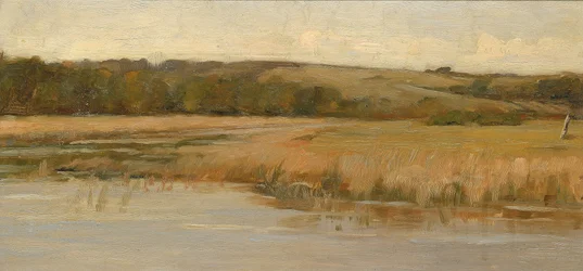 Collines et marais