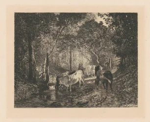 Vaches sous bois