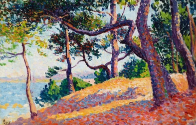 Paysage à Saint-Tropez